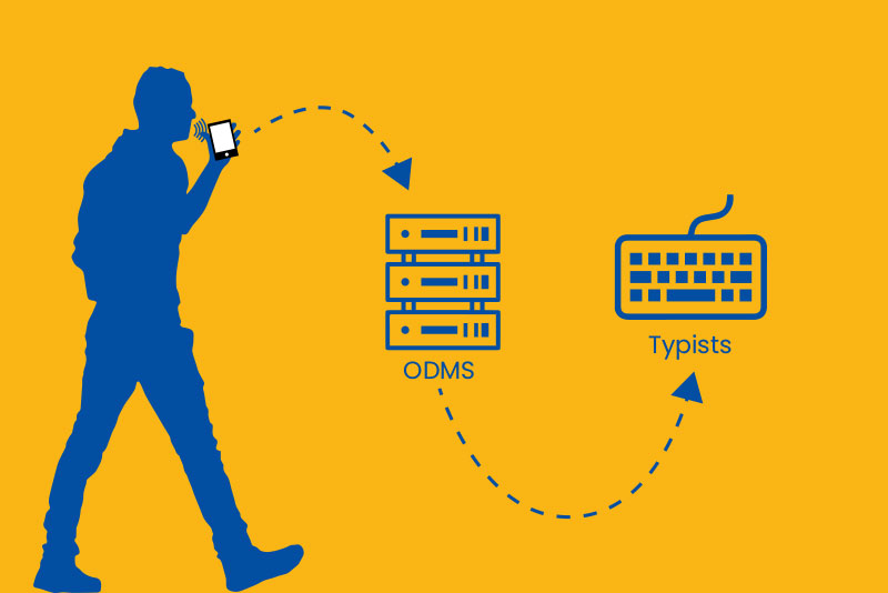 Olympus Dictation App flow chart, from app to odms to typed