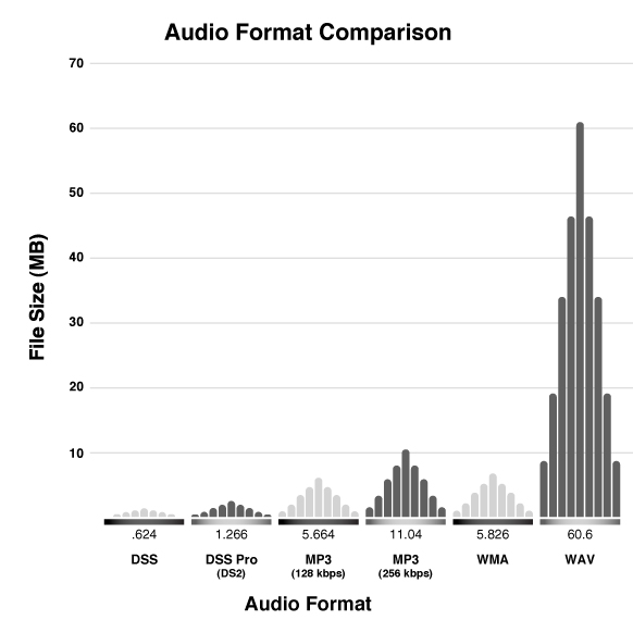 Diagtram comparing file sizes of different audio formats with DSS being the small